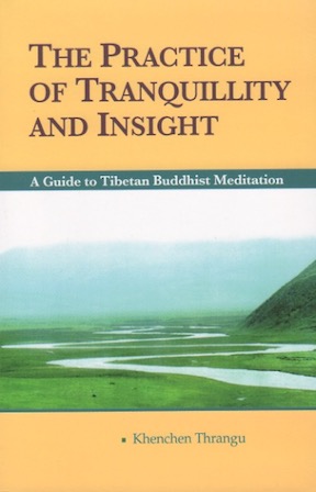 (image for) Practice of Tranquillity and Insight (Book)